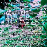 original sound - Shin Dhammar Law Ka