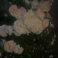 オリジナル楽曲 - のん