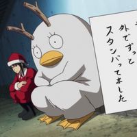 user133387571020
