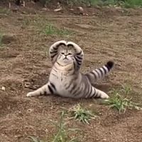 เสียงต้นฉบับ - villvie