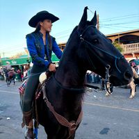 paolasequeiraf
