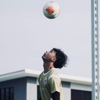 hiniball