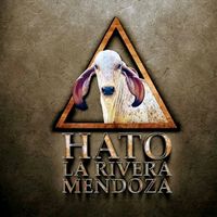 hatoluismendoza