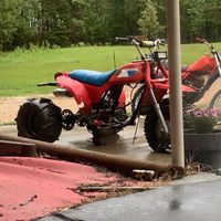 thatwide250s