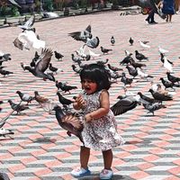 original sound - Raeshu