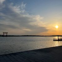 オリジナル楽曲 - 向日葵🎧