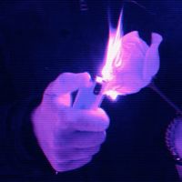 solidgaming77748