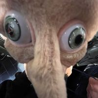 nick_ahnumber1