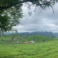 nhạc nền - tailieuthuyetminh