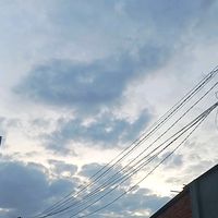 batuoimay