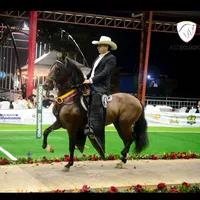 original sound - st_caballos12