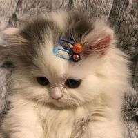 ohmpawatnanon7