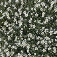 オリジナル楽曲 - 🤍