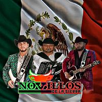 Roman Iriarte Novillos De La Sierra En Vivo