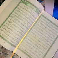 maysar622