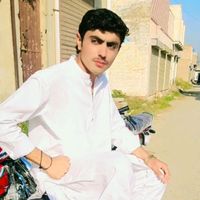 bobii_31