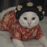 jianaxiao