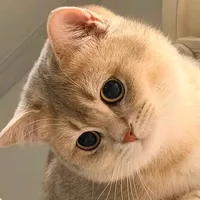 original sound - opurnata4