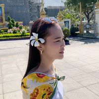 sai_prakaidaw