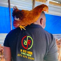 rr_mixed_farming