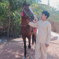 yellmannaung8