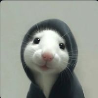 sarahyriveraaa