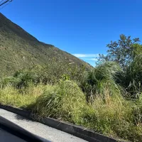 original sound - 2004..050