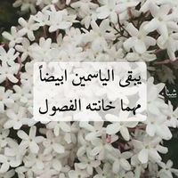 yasmeenabdulhamid
