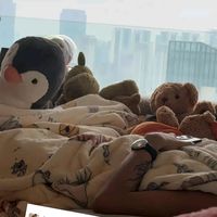 nhạc nền - tớ là..清涛 tiểuchu