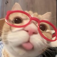 ppappyyy_