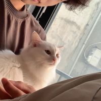 nhạc nền - Đậu hũ uống cà phê☕️