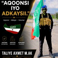 hogan_axmet_maxamet_ak