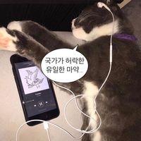 오리지널 사운드 - 뮤직만렙