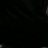 don_r11