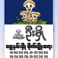 original sound - ostermushroom