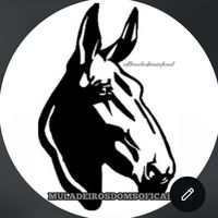 muladeirosdomsoficial
