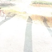 original sound - its.me.xettri34