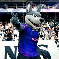 myca_edit_botafogo