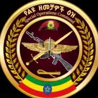 original sound - misbahahme4