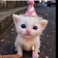 catlovex