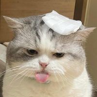 xzxxzcxz