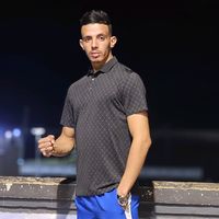 virgil_v12