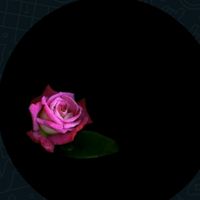 user513057340627