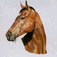 films.with.horses