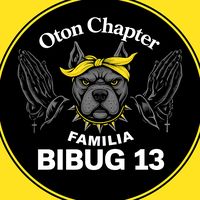 bibug13fam