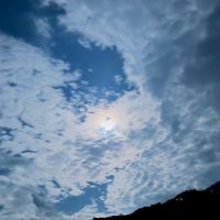 joset_11