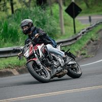 berti_oliveira