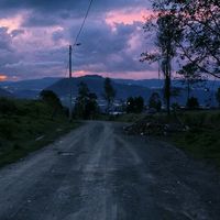 pecesita_g