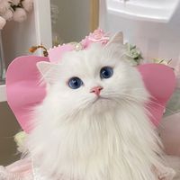 anotherlyea_