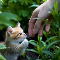 original sound - user66xhng1cup